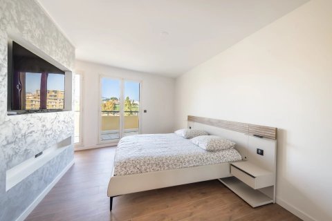 3 bedrooms Apartment in Saint-Laurent-du-Var, France No. 67409 10