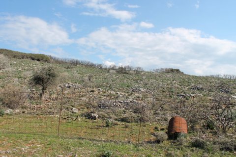 18865m² Land in Agios Nikolaos, Greece No. 57571 4