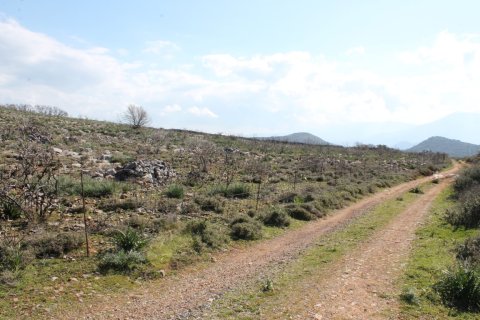 18865m² Land in Agios Nikolaos, Greece No. 57571 1