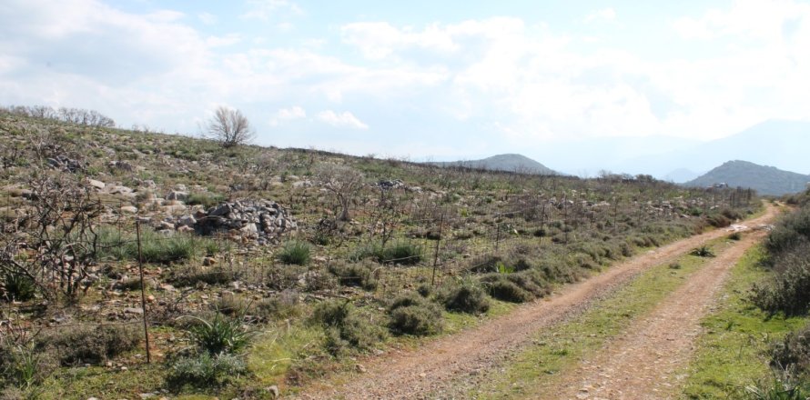 18865m² Land in Agios Nikolaos, Greece No. 57571