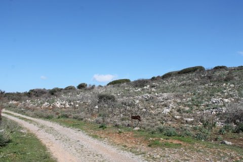 18865m² Land in Agios Nikolaos, Greece No. 57571 3