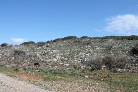 18865m² Land à Agios Nikolaos, Greece No. 57571 2