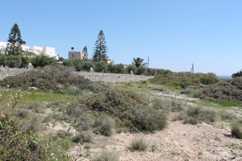 4000m² Land in Ierapetra, Greece No. 57476 7