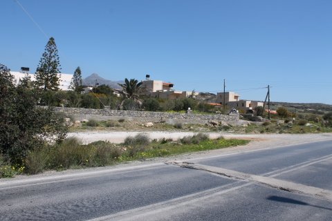 4000m² Land in Ierapetra, Greece No. 57476 5