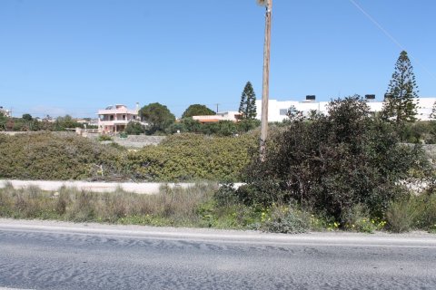 4000m² Land à Ierapetra, Greece No. 57476 4