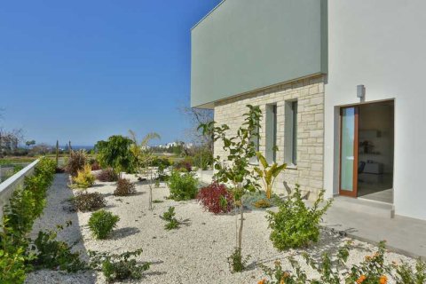 4 dormitorios Villa en Chloraka, Cyprus No. 72856 2