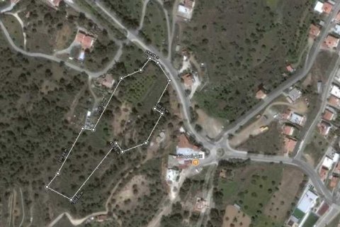 13301m² Land in Kapedes, Cyprus No. 35883 5