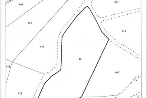Земельный участок 24400м² в Монагрулли, Кипр №35884 3