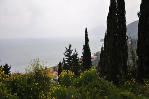 3200m² Land en Corfu, Greece No. 60412 5