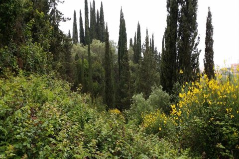 3200m² Land in Corfu, Greece No. 60412 4