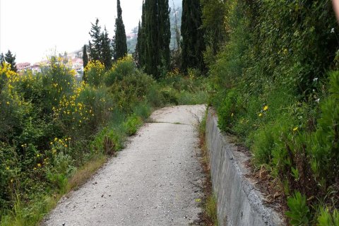 3200m² Land in Corfu, Greece No. 60412 2