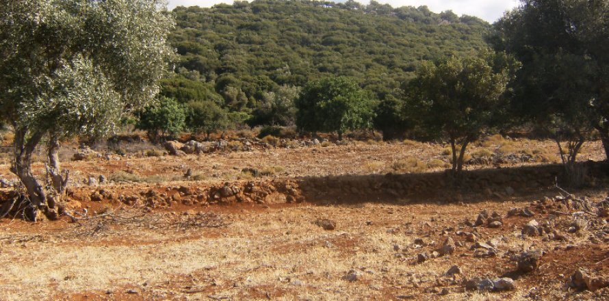 31430m² Land en Malia, Greece No. 58421