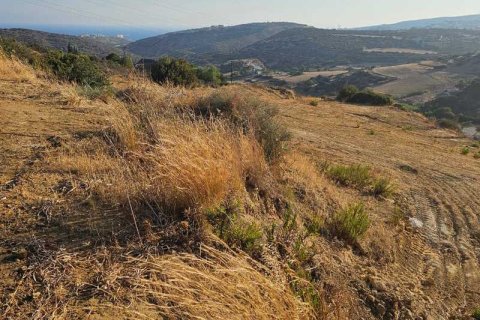 3412m² Land in Parekklisia, Cyprus No. 64632 4