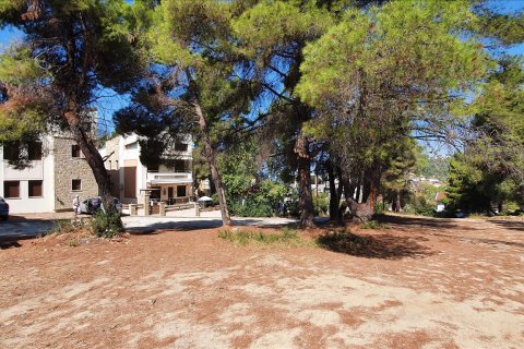 5200m² Land à Chalkidiki, Greece No. 58580 3