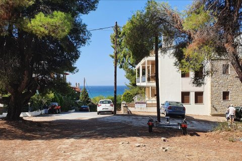 5200m² Land en Chalkidiki, Greece No. 58580 2