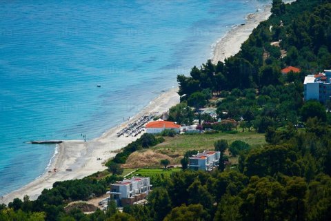 5200m² Land à Chalkidiki, Greece No. 58580 1