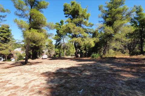 5200m² Land en Chalkidiki, Greece No. 58580 5