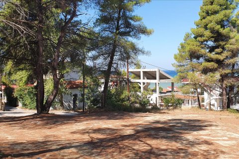 5200m² Land à Chalkidiki, Greece No. 58580 7