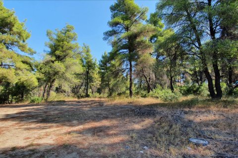 5200m² Land à Chalkidiki, Greece No. 58580 4