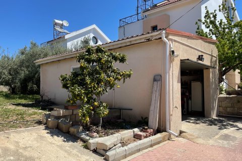 6 dormitorios Land en Paphos, Cyprus No. 65231 14