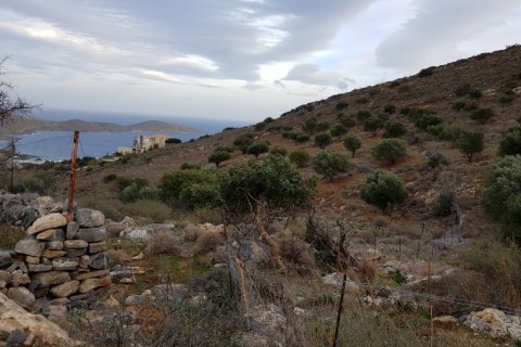 8700m² Land en Agios Nikolaos, Greece No. 57778 3