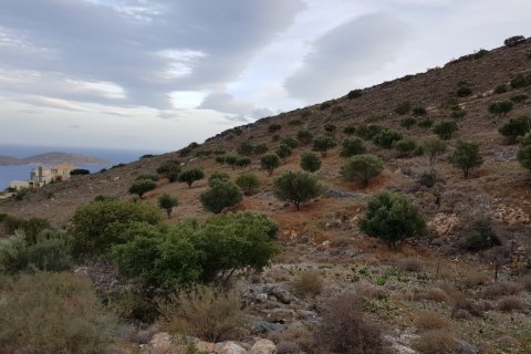 8700m² Land à Agios Nikolaos, Greece No. 57778 4