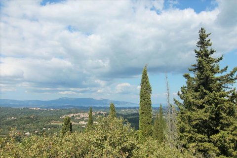 3800m² Land in Corfu, Greece No. 57780 3