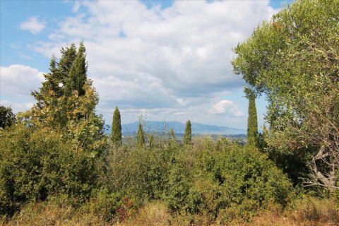 3800m² Land à Corfu, Greece No. 57780 12