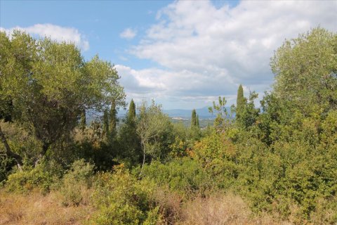 3800m² Land in Corfu, Greece No. 57780 11