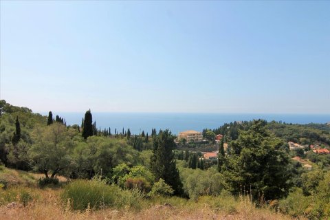 3800m² Land en Corfu, Greece No. 57780 1