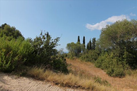 3800m² Land en Corfu, Greece No. 57780 8