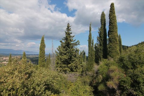 3800m² Land à Corfu, Greece No. 57780 21