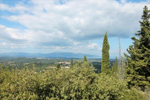 3800m² Land à Corfu, Greece No. 57780 17