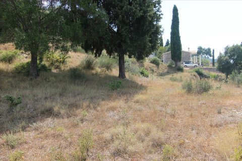 3800m² Land in Corfu, Greece No. 57780 14