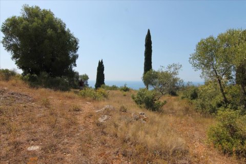 3800m² Land à Corfu, Greece No. 57780 10