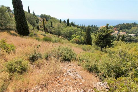 3800m² Land in Corfu, Greece No. 57780 23