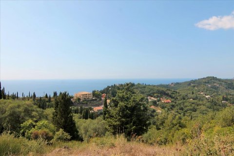 3800m² Land en Corfu, Greece No. 57780 2