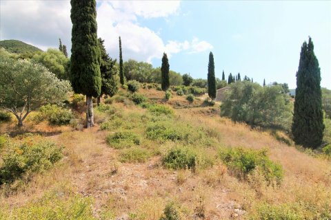 3800m² Land in Corfu, Greece No. 57780 22