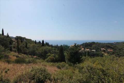 3800m² Land in Corfu, Greece No. 57780 27