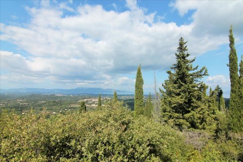 3800m² Land en Corfu, Greece No. 57780 20