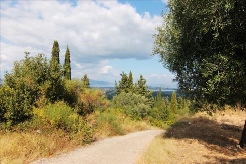 3800m² Land en Corfu, Greece No. 57780 6