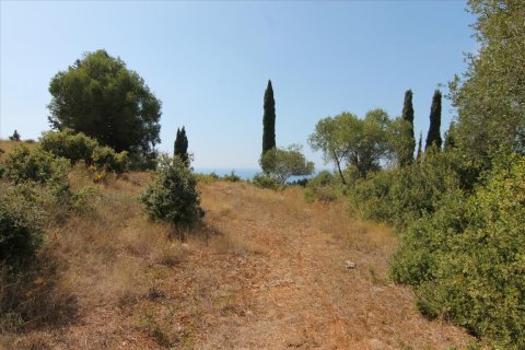 3800m² Land in Corfu, Greece No. 57780 9