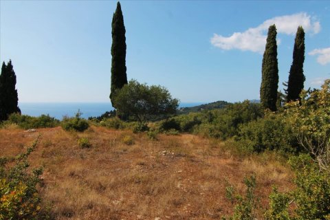 3800m² Land à Corfu, Greece No. 57780 4