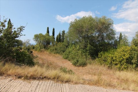 3800m² Land en Corfu, Greece No. 57780 7