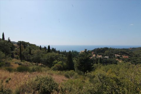 3800m² Land in Corfu, Greece No. 57780 26