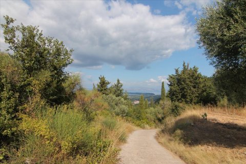 3800m² Land in Corfu, Greece No. 57780 28