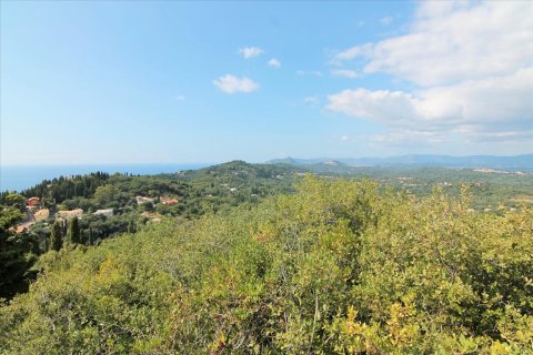 3800m² Land en Corfu, Greece No. 57780 24