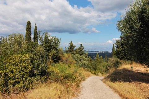 3800m² Land en Corfu, Greece No. 57780 5