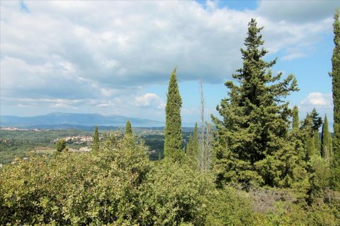 3800m² Land en Corfu, Greece No. 57780 18