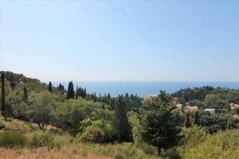 3800m² Land en Corfu, Greece No. 57780 19